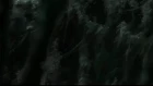 Ergo Proxy episodio 12