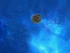 Digimon Frontier episodio 47