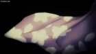 Hyakki Yakoushou episodio 3