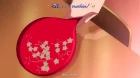 Nurarihyon no Mago episodio 23