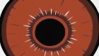 Bleach: Memories in the Rain episodio 1