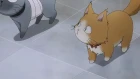 Sankarea OVA episodio 3