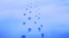 Kimi no Iru Machi episodio 1