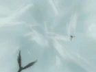 Gintama episodio 195