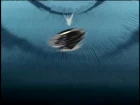 Bakuten Shoot Beyblade episodio 41