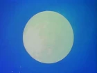 Ranma ½ episodio 147