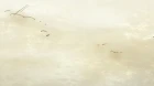 Namiuchigiwa no Muromi-san episodio 9