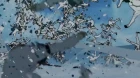 Kill la Kill episodio 23